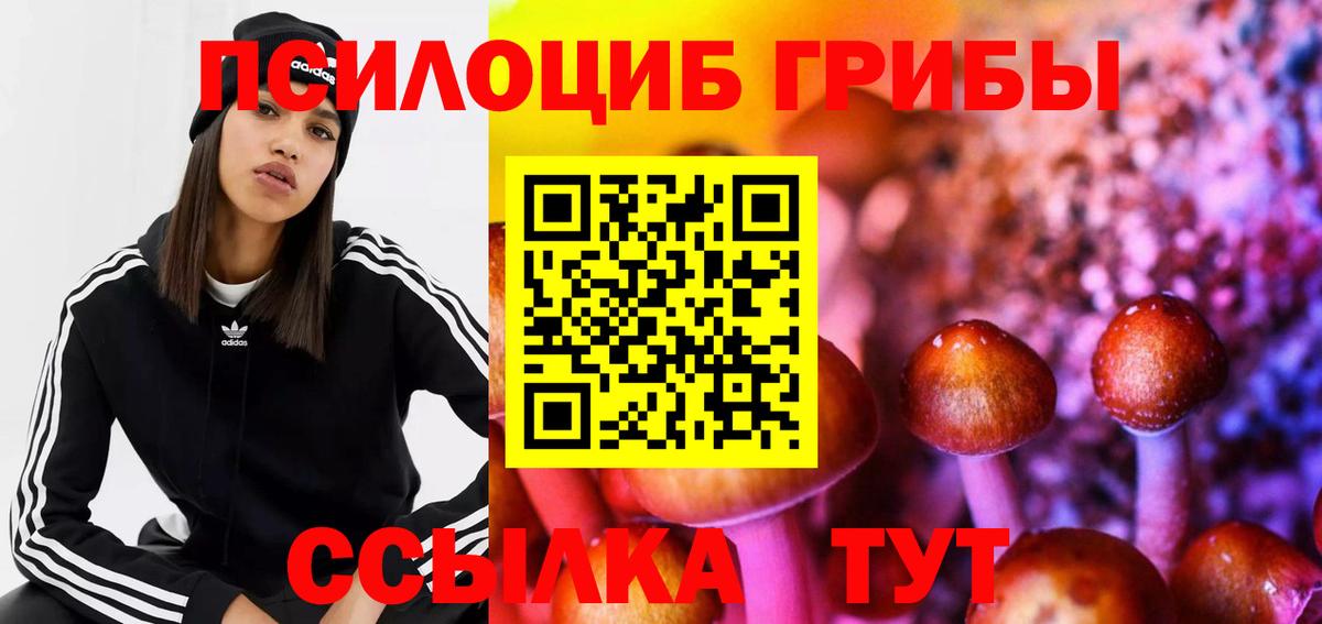 Псилоцибиновые грибы GOLDEN TEACHER  Вход с VPN  Михайловск 